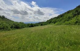 Teren, zona Gusterita , 28.800 mp