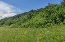 Teren, zona Gusterita , 28.800 mp