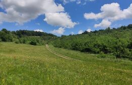 Teren, zona Gusterita , 28.800 mp