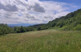 Teren, zona Gusterita , 28.800 mp