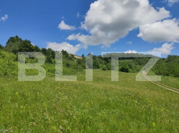 Teren de vânzare Gusterita - 152539TV | BLITZ Sibiu | Poza6