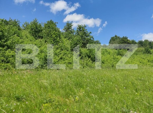 Teren de vânzare Gusterita - 152539TV | BLITZ Sibiu | Poza7