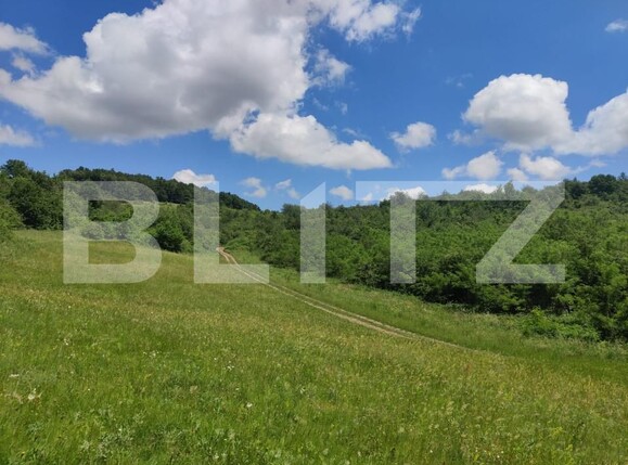 Teren de vânzare Gusterita - 152539TV | BLITZ Sibiu | Poza1