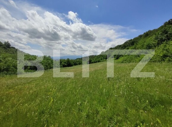 Teren de vânzare Gusterita - 152539TV | BLITZ Sibiu | Poza2