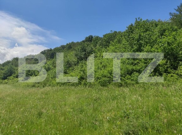 Teren de vânzare Gusterita - 152539TV | BLITZ Sibiu | Poza11