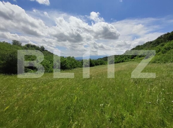 Teren de vânzare Gusterita - 152539TV | BLITZ Sibiu | Poza3