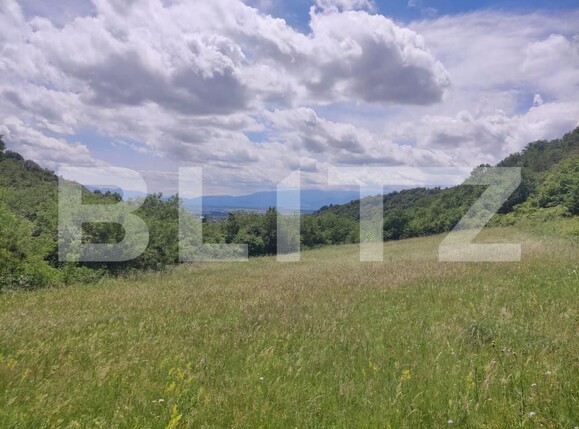 Teren de vânzare Gusterita - 152539TV | BLITZ Sibiu | Poza10