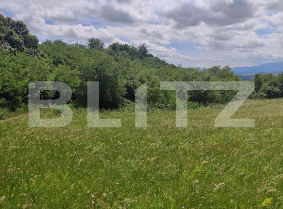 Teren de vânzare Gusterita - 152539TV | BLITZ Sibiu | Poza5