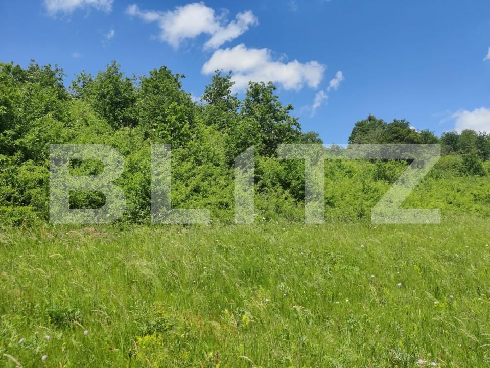 Teren de vânzare Gusterita - 152539TV | BLITZ Sibiu | Poza7