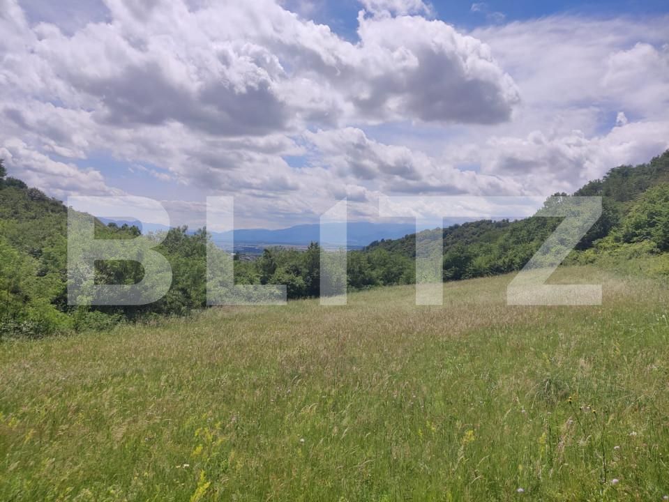 Teren de vânzare Gusterita - 152539TV | BLITZ Sibiu | Poza10