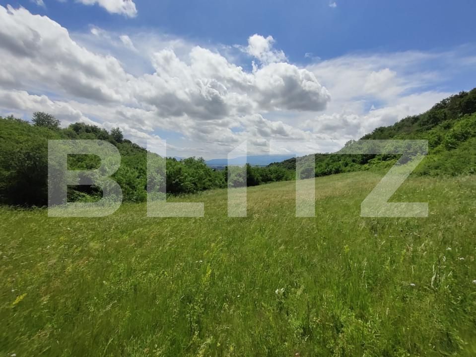 Teren de vânzare Gusterita - 152539TV | BLITZ Sibiu | Poza3