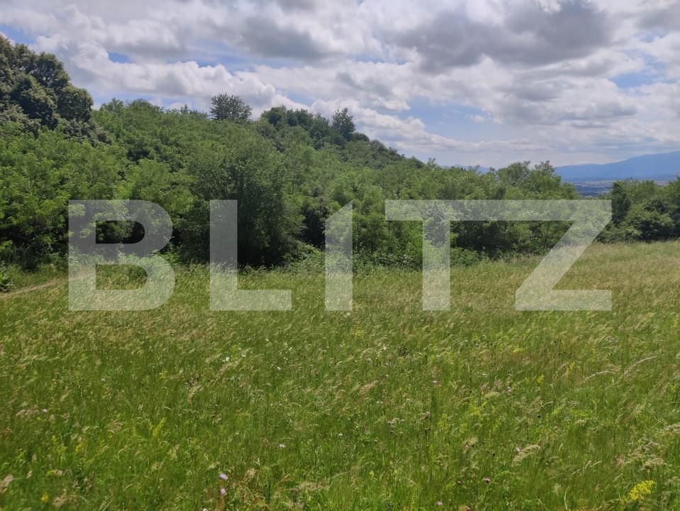 Teren de vânzare Gusterita - 152539TV | BLITZ Sibiu | Poza5