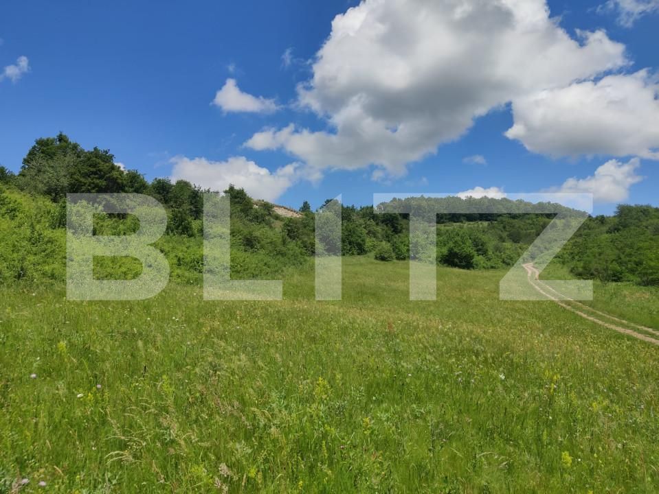 Teren de vânzare Gusterita - 152539TV | BLITZ Sibiu | Poza6