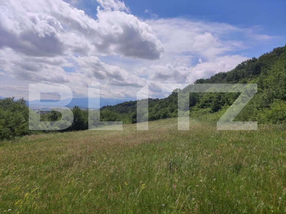 Teren de vânzare Gusterita - 152539TV | BLITZ Sibiu | Poza9