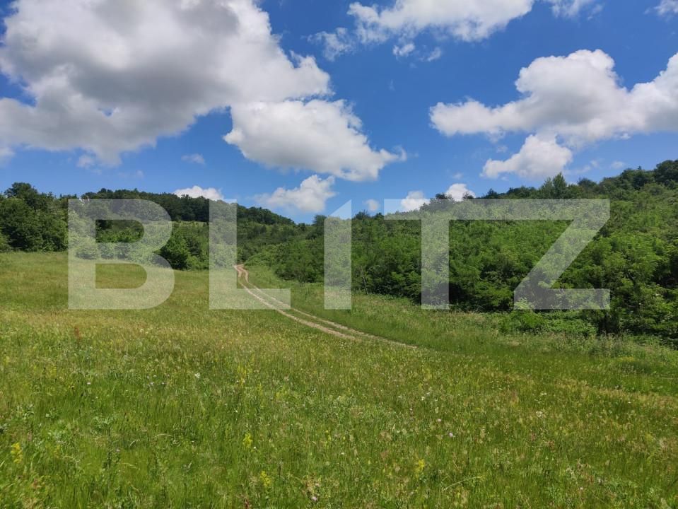 Teren de vânzare Gusterita - 152539TV | BLITZ Sibiu | Poza8