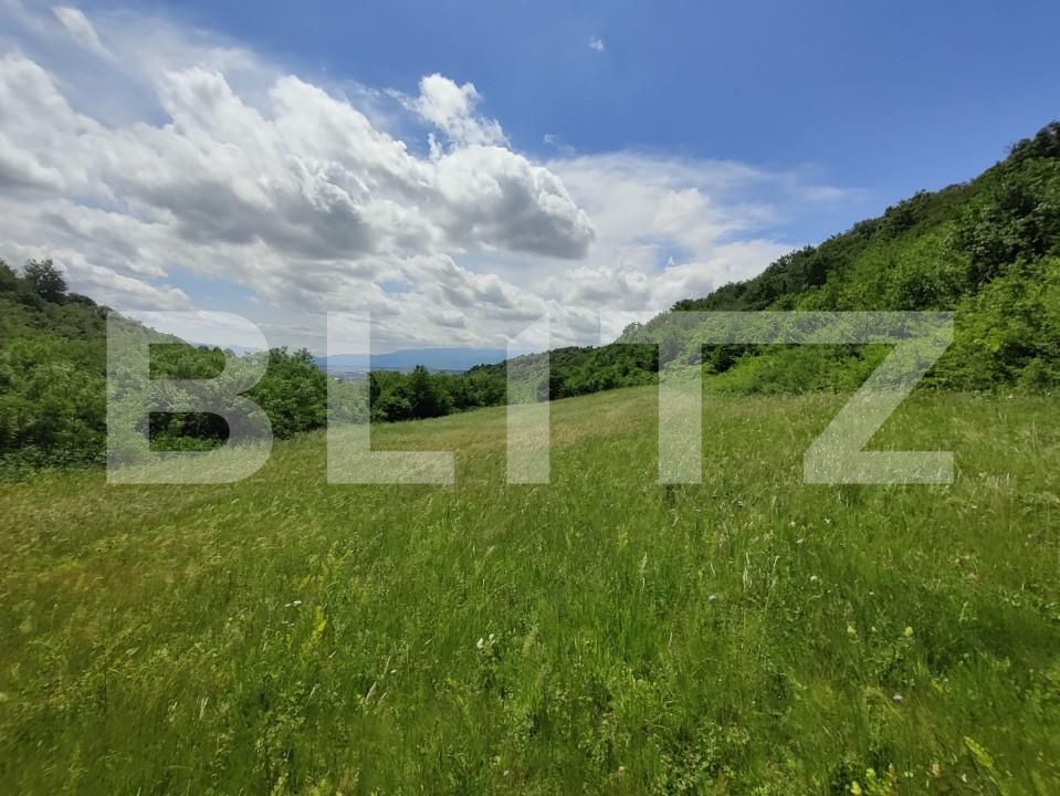 Teren de vânzare Gusterita - 152539TV | BLITZ Sibiu | Poza2