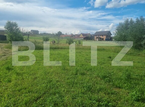 Teren de vânzare Est - 152612TV | BLITZ Sibiu | Poza3