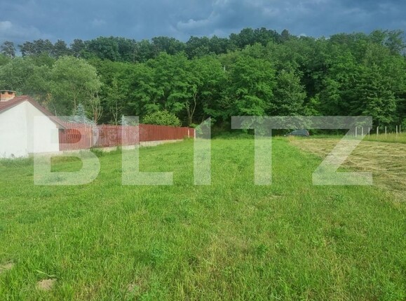 Teren de vânzare Est - 152612TV | BLITZ Sibiu | Poza4