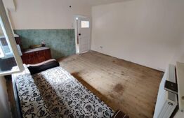 Casa 3 camere, teren 500 mp, Gura Raului