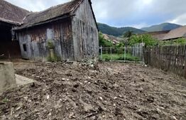 Casa 3 camere, teren 500 mp, Gura Raului