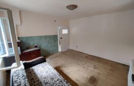 Casa 3 camere, teren 500 mp, Gura Raului