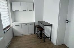 Studio Centru Istoric 30 mp