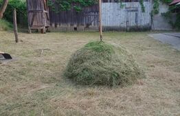 Casa 3 camere de vanzare pe valea Hartibaciului, sat Tichindeal