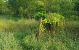 Casa 3 camere de vanzare pe valea Hartibaciului, sat Tichindeal