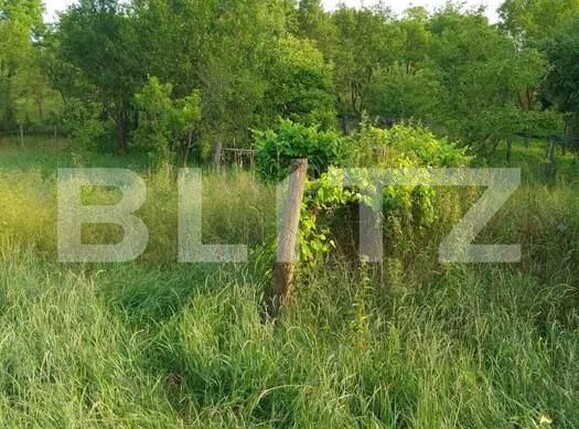 Casa de vânzare 3 camere Exterior Est - 154398CV | BLITZ Sibiu | Poza3