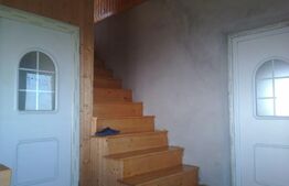 Casa de vacanta in Paltinis