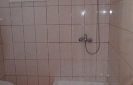 Casa de vacanta in Paltinis