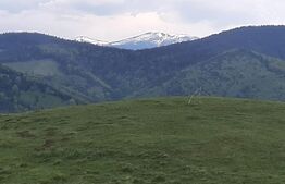 Casa de vacanta in Paltinis