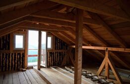 Casa de vacanta in Paltinis