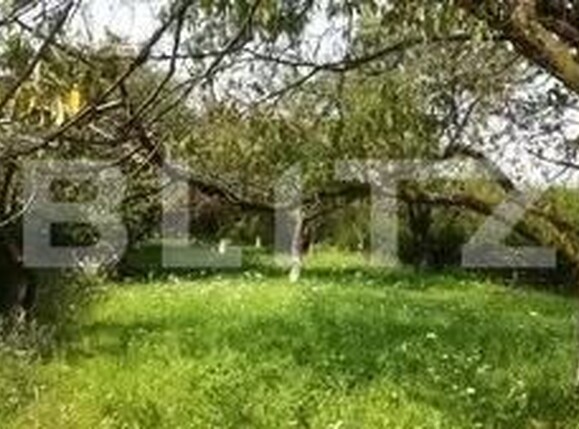 Teren de vânzare Răşinari - 154671TV | BLITZ Sibiu | Poza1