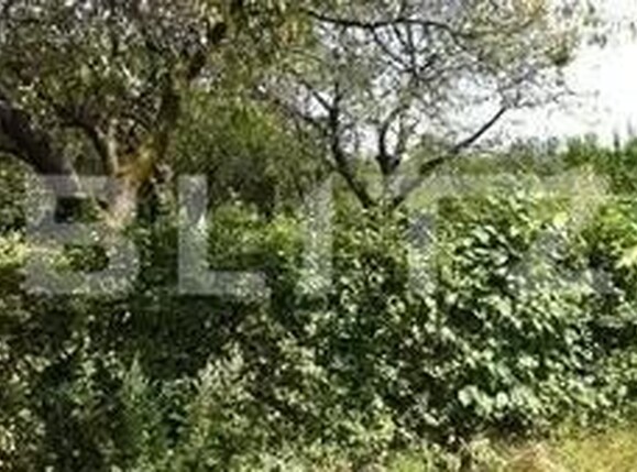 Teren de vânzare Răşinari - 154671TV | BLITZ Sibiu | Poza2