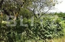 Teren de vânzare Răşinari - 154671TV | BLITZ Sibiu | Poza2