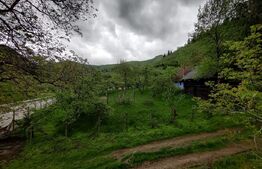 Casa 150 mp, 5 dormitoare, Rasinari 