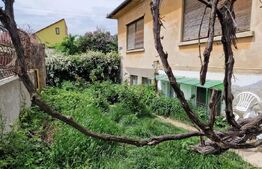 Apartament la casa cu curte spatioasa proprie in Terezian