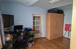 Apartament la casa cu curte spatioasa proprie in Terezian