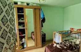 Apartament la casa cu curte spatioasa proprie in Terezian