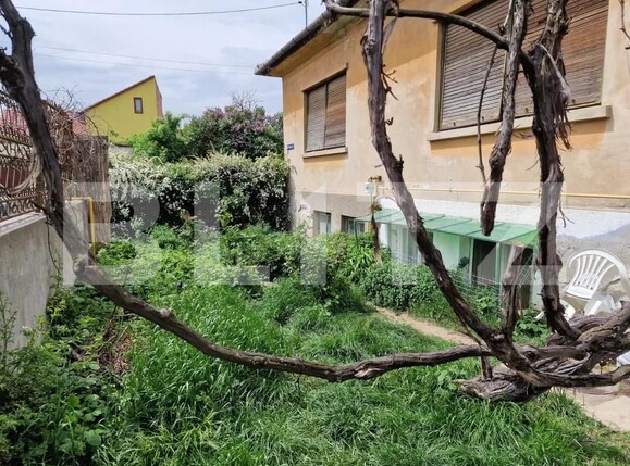 Casa de vânzare 4 camere Terezian - 154872CV | BLITZ Sibiu | Poza3