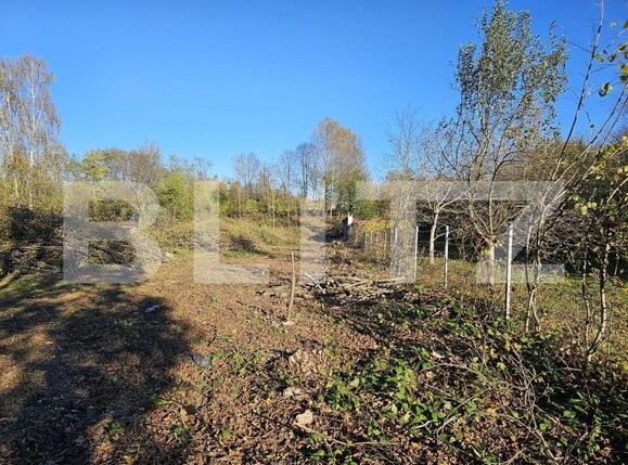 Teren de vânzare Avrig - 154893TV | BLITZ Sibiu | Poza3