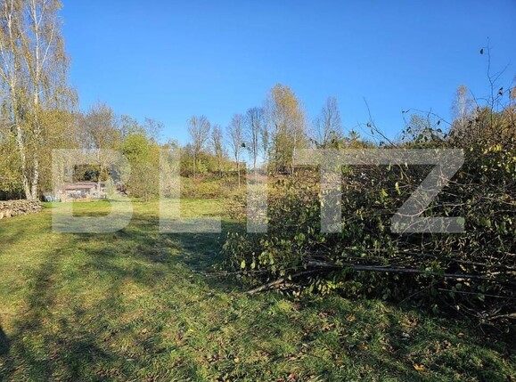 Teren de vânzare Avrig - 154893TV | BLITZ Sibiu | Poza2