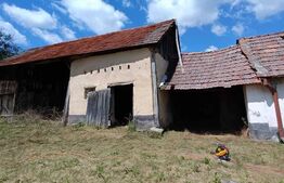 Casa RUSTICA de vanzare in sat TAPU comuna Micasasa