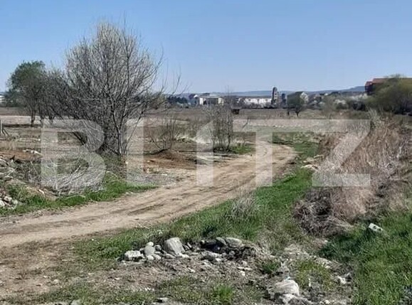 Teren de vânzare Turnisor - 155049TV | BLITZ Sibiu | Poza2