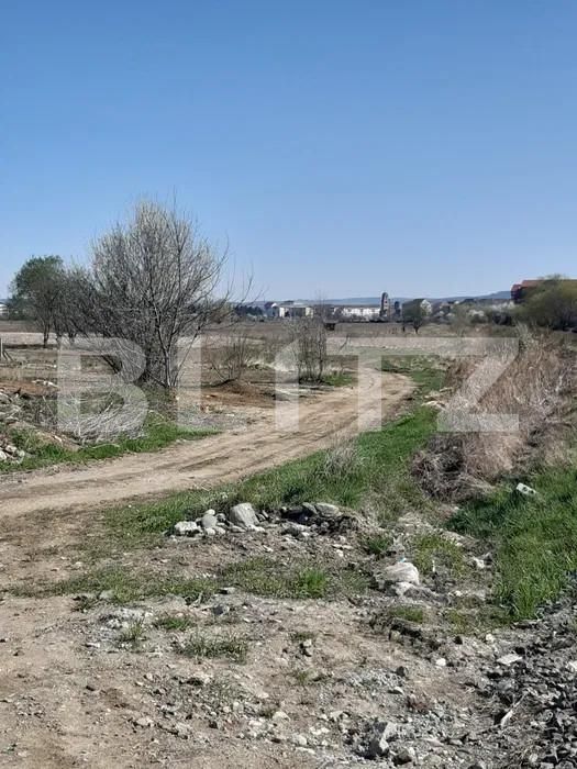 Teren de vânzare Turnisor - 155049TV | BLITZ Sibiu | Poza2