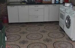 Casa 2 camere de vanzare in sat Petis, comuna Seica Mare