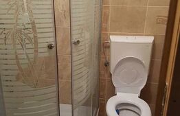 Casa 2 camere de vanzare in sat Petis, comuna Seica Mare