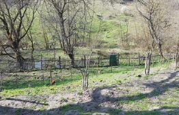 Casa 2 camere de vanzare in sat Petis, comuna Seica Mare