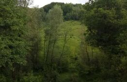 Casa 2 camere de vanzare in sat Petis, comuna Seica Mare